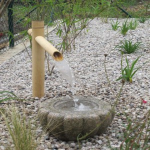 voda v zahradě