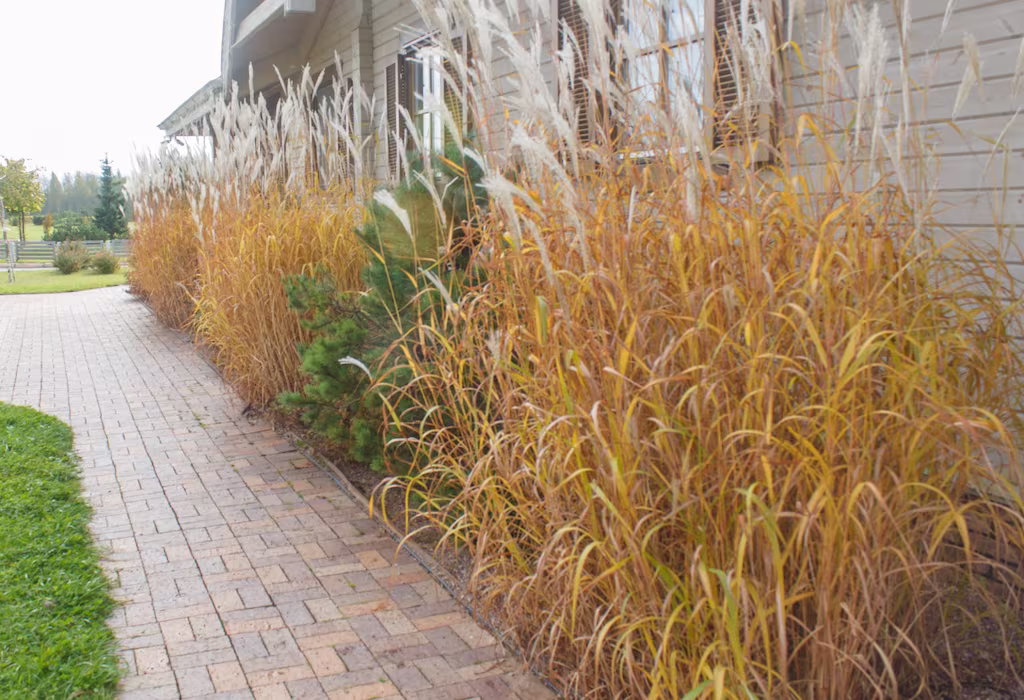 modern restaurant landscape nov 27 2023